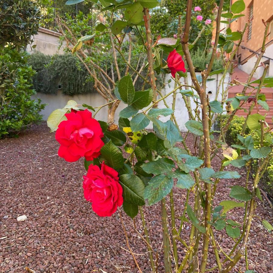 B&B Al Viale Macerata Exterior photo
